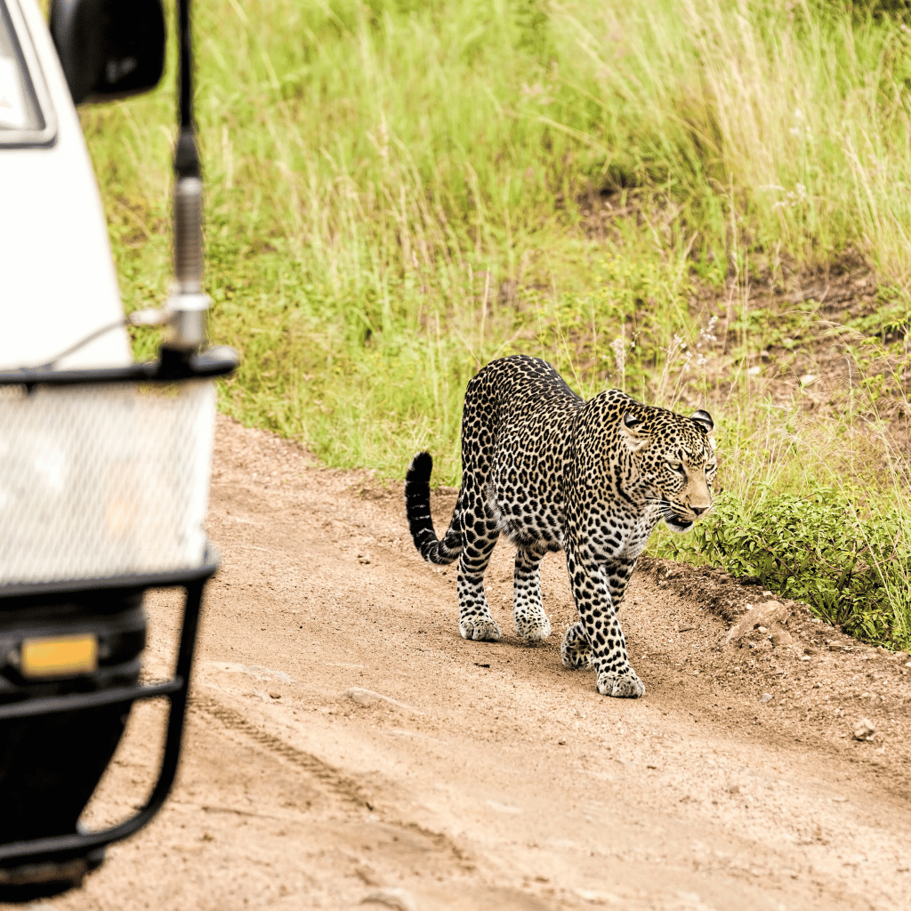 Magical Kenya (5)