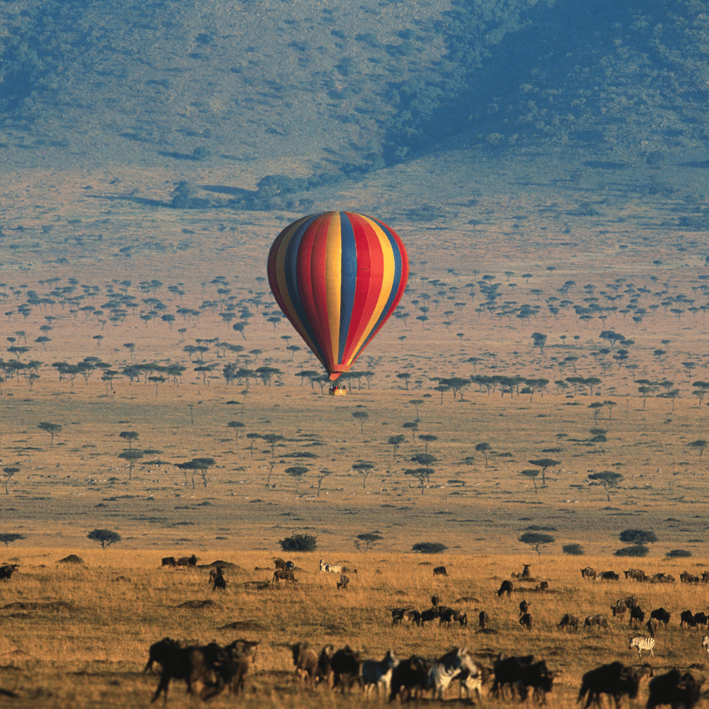 Magical kenya cover image