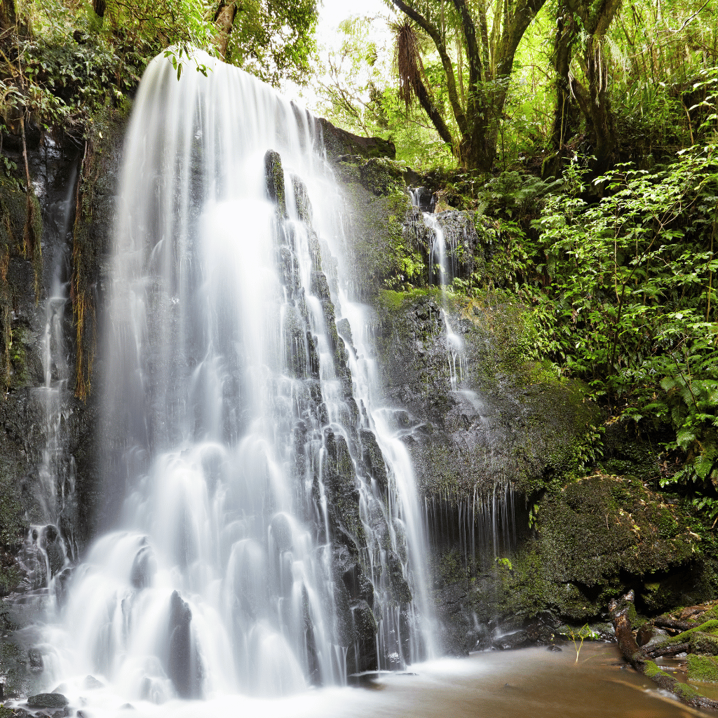 New Zealand