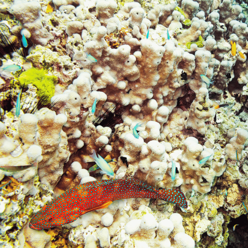 Phuket (5)