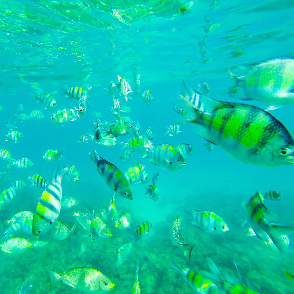 Phuket (6)